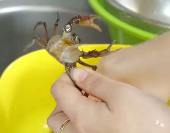 Các bạn tách mai cua