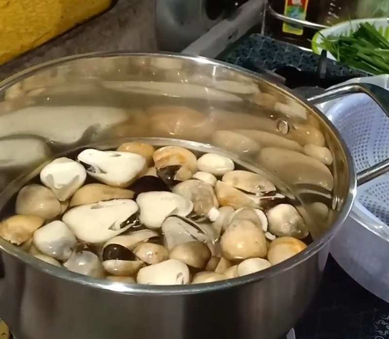 Nước canh sôi cho nấm rơm vào nồi