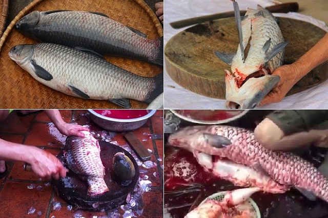 Cá cắt khoanh nhỏ vừa ăn