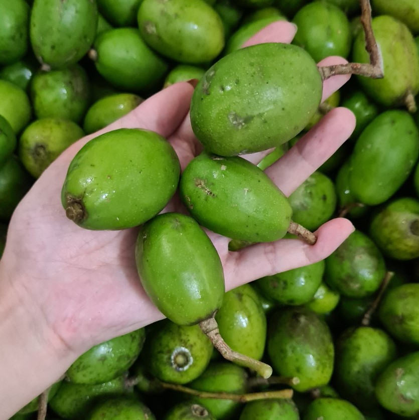 Chọn những quả cóc non khi mua