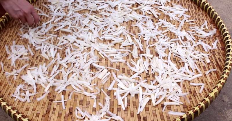 Phơi củ cải trắng dưới nắng
