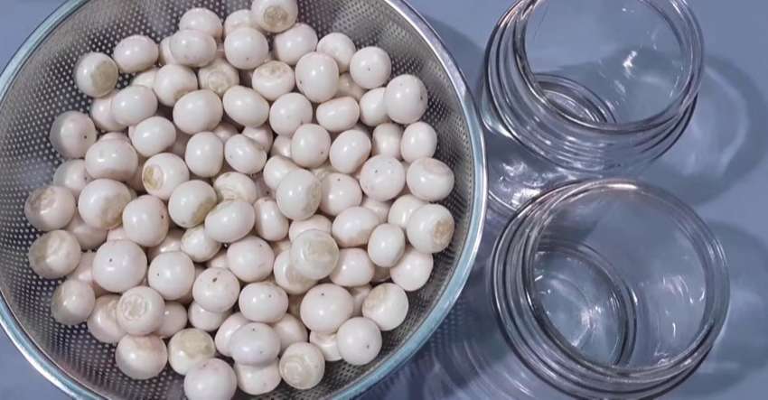Chuẩn bị ng&acirc;m c&agrave; ph&aacute;o&nbsp;