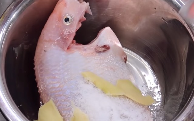 Sơ chế cá diêu hồng cùng muối và gừng loại bỏ mùi tanh