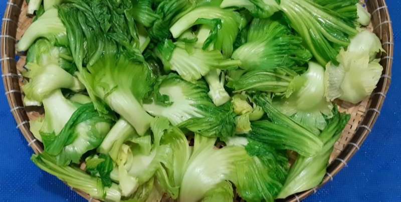 Trần qua dưa cải