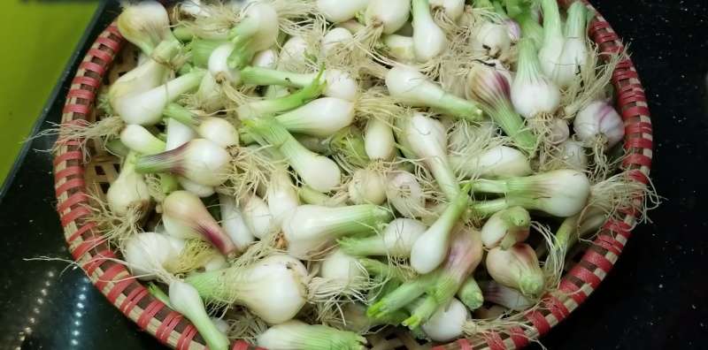 Nguyên liệu muối hành trắng giòn