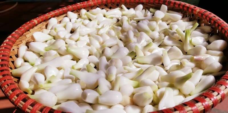 Phơi ráo hành dưới nắng 4 - 5 tiếng