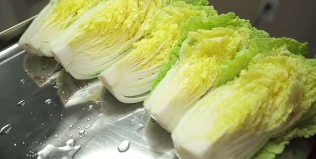 Cắt cảo thảo làm 4 phần