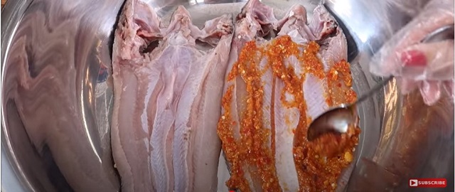Ướp cá lóc trước khi phơi